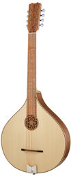 Artist Octave Mandolin WLN