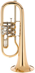 BZ-Series GL91 raw