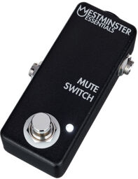 Mute Switch