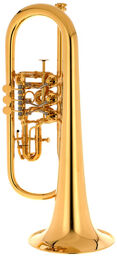Rosengarten Flgh 10,95 GP