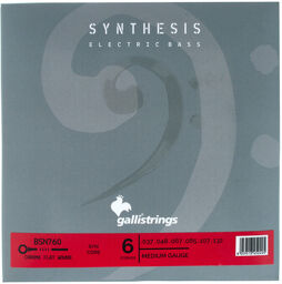 BSN760 Chrome Flat Bass 6-Str.