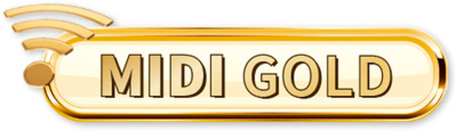 MIDI Accordion Gold