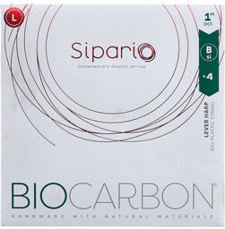BioCarbon Str. 1st Oct. SI/B