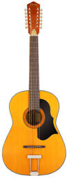 Vintage Hootenanny 12 TN Vintage Tinted Natur