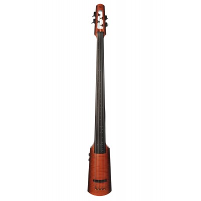 Nxt4A Omni Bass Sunburst
