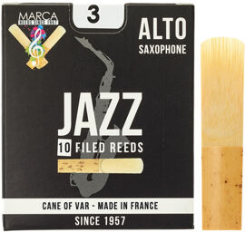 Jazz filed Alto Saxophone 3.0