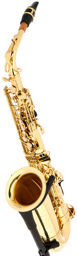 TAS-180 Alto Sax