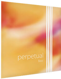 Perpetual Bass 3/4 Strong