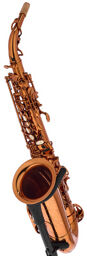 Session Alto Copper Bronze bronze cuivré