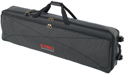 SC-1 Softcase