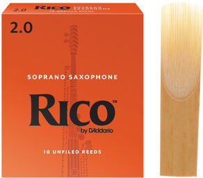 Rico Soprano Saxophone 2.0