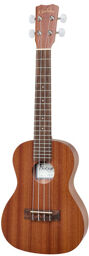 Up 100 Ukulele Pack Naturel mat