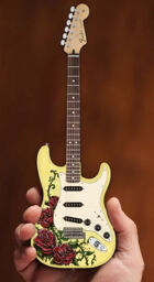 Fender David Lozeau Roses