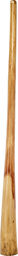 Didgeridoo Eucaly. Proline C#