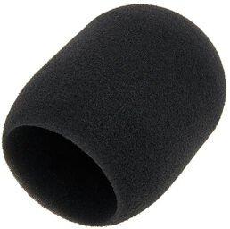 Neumann TLM 103 Foam