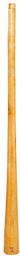 Didgeridoo Eucalyp. Proline C#