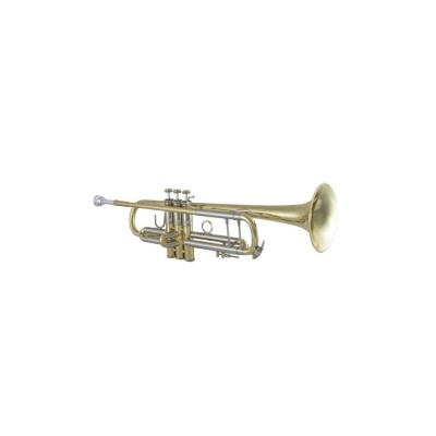 19043 Stradivarius - Sib Vernie