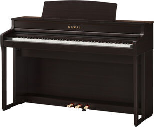 CA-501 R Bois de rose