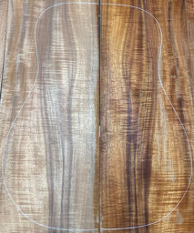 CWG-23SH Koa Custom HGM Naturel haute brillance