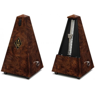 Pyramidal Bois de Ronce 845001