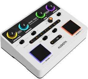 AVE-100 Vocal Multi Effects