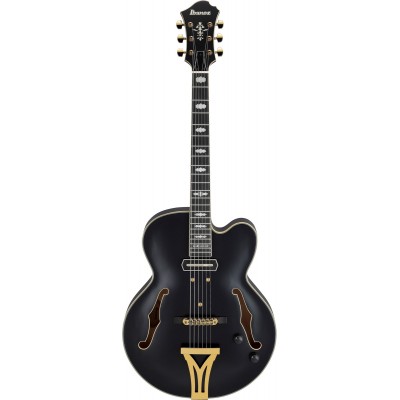 PM3C Signature Pat Metheny Black Low Gloss