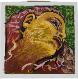 Evah Pirazzi Neo Violin 4/4