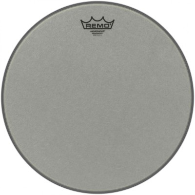 RA-0014-ss Renaissance Ambassador 14