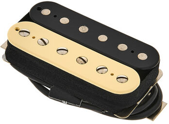 Rebel Yell BR F-Spaced ZEB Zebra