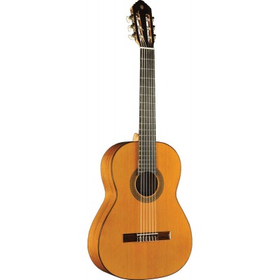 Vibra 300 4/4 Natural