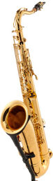 YTS-480 Tenor Sax