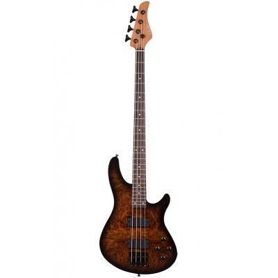 C-4 Standard Tobacco Burl