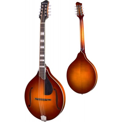 MDO605 Gold Burst