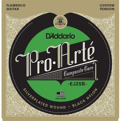 EJ25b Pro Arte Composite Core Flamenco Custom Tension