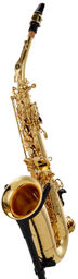 Prodige Alto Sax