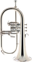 FH 600 GS Bb-Flugelhorn