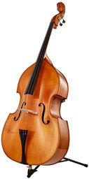 Solo Double Bass Lady`s Head