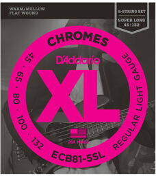 ECB81-5SL