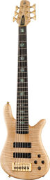 NS-6 Flamed Maple Erable flammé naturel haute brillance