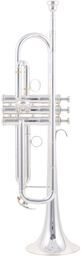YTR-8335RGS 04 Trumpet