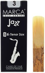 Jazz filed Tenor Saxophone 3.0