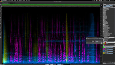 SpectraLayers Elements 12