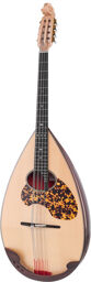 Mandoloncello MC-3 RR