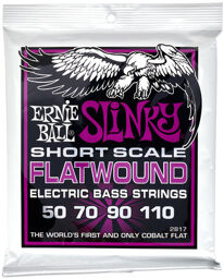 Flatwound 2817