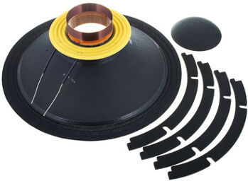 R18 P300-8 Ohm Reconekit