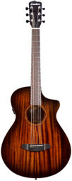 Wildwood Pro Concertina CE Suede Burst Gloss