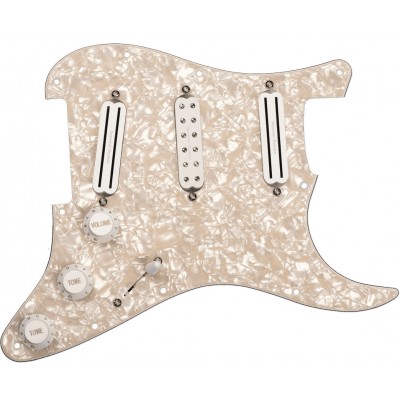 Plaques PRE-cablees Dave Murray D. Murray Pickguard