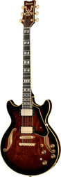 AM153QA-DBS Dark Brown Sunburst