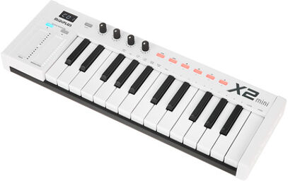 X2 mini