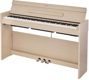 YDP-S35 WA Arius Frêne blanc